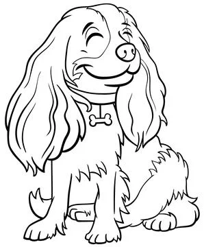Cartoon Cavalier King Charles Spaniel purebred dog coloring page Stock Illustration
