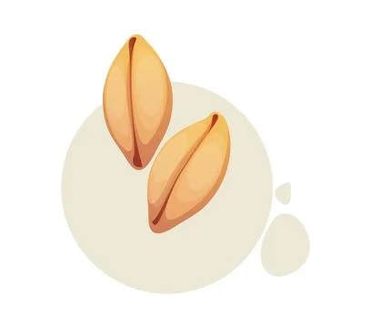 Cartoon cereal vector barley grains, raw seeds Stock Illustration