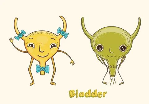Cartoon character human bladder Stock Illustration