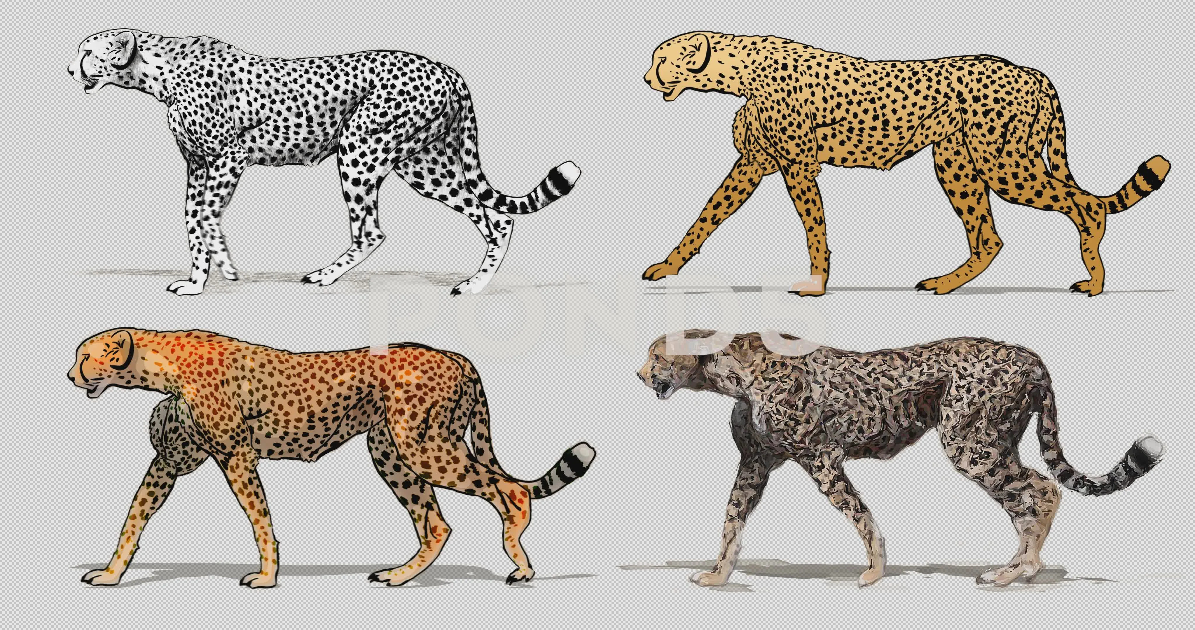 Cartoon cheetah walking. Animation cycli... | Stock Video | Pond5