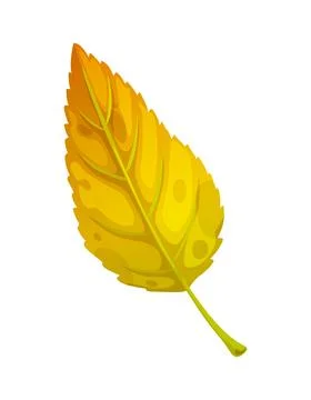 Cartoon cherry tree leaf autumn season Stock Illustration