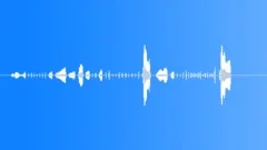 CARTOON, CHICKEN Sound Effect