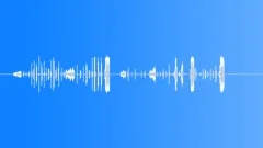 CARTOON, CHICKEN Sound Effect