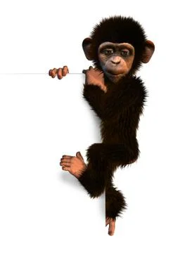 Cartoon Chimp on Sign Edge Stock Illustration