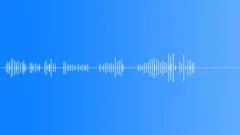 CARTOON, CHIPMUNKSound Effect