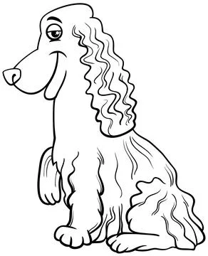 Cartoon cocker spaniel purebred dog coloring page Stock Illustration