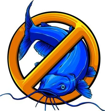 Cartoon of colored catfish vector illustration design Stock Illustration