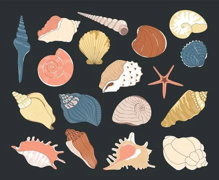 Cartoon corals and seashells, algae elements. イラスト素材