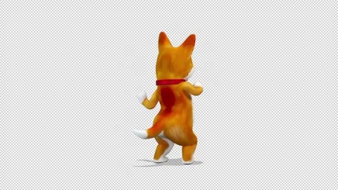 Corgi tap hot sale dancing