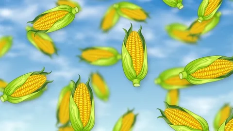 Cartoon Corn Cobs Falling Through Blue Sky with Clouds Stock Footage 344230925