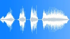 Cartoon croaking bird laughterSound Effect