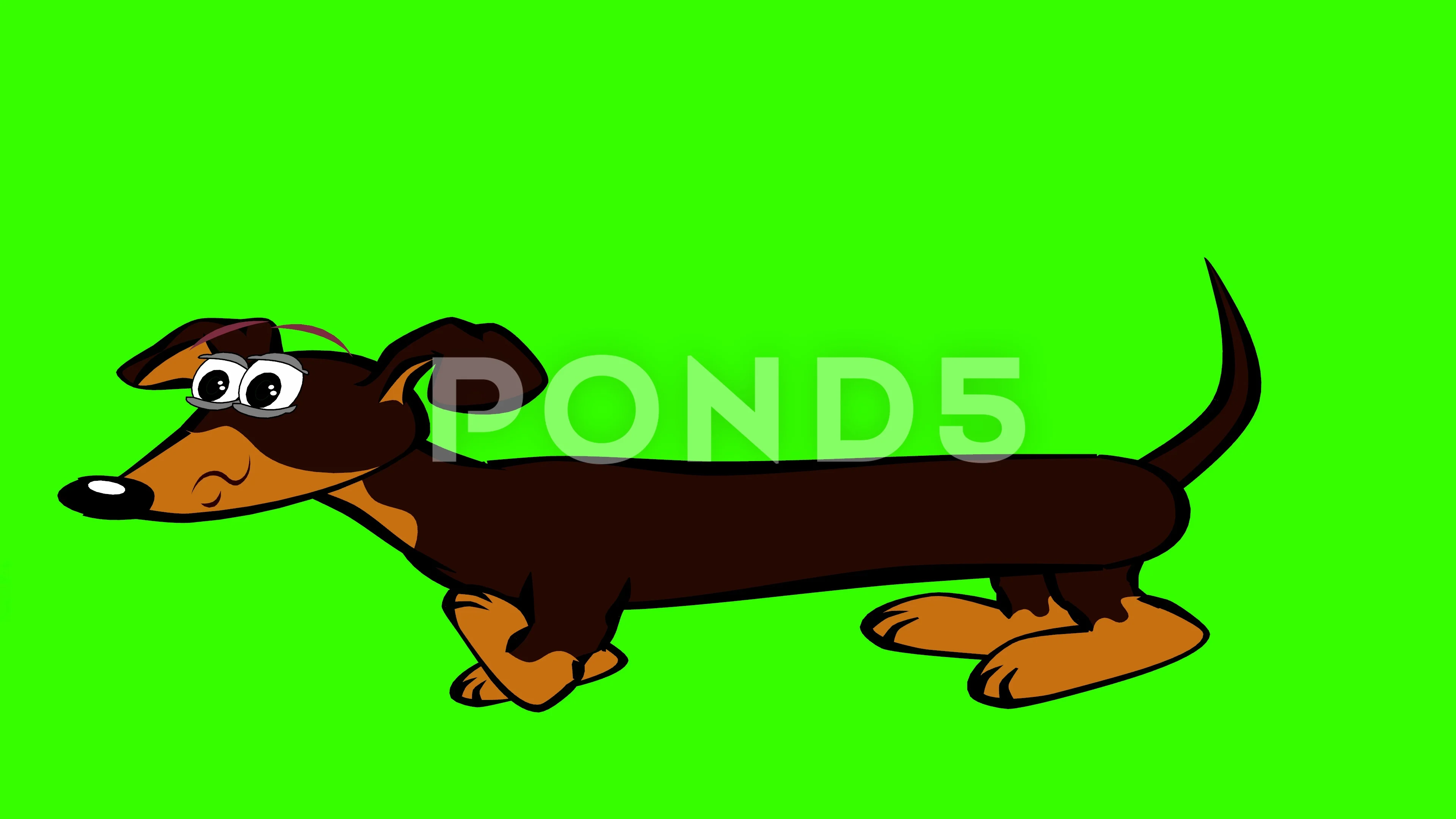 Cartoon Dachshund Dog, Running: Green Sc... | Stock Video | Pond5