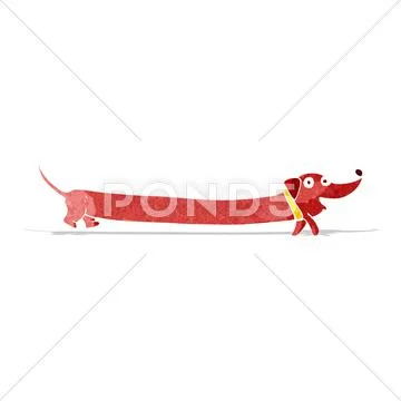 Cartoon dachshund Stock Illustration
