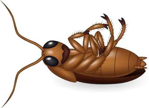 Cartoon dead cockroach Stock Illustration