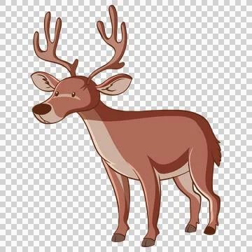 Cartoon Deer Standing Profile View Ilustração Stock