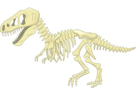 Cartoon Dinosaur skeleton Stock Illustration