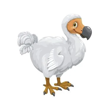 Cartoon dodo vector flightless bird character Stock Illustration