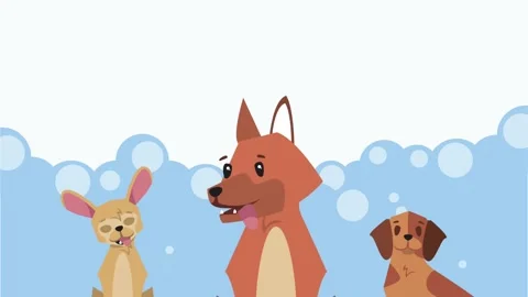 Cartoon dogs group animation with bubbles background in motion. Stock Footage 339258049