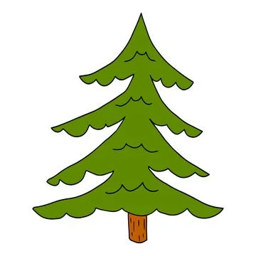 Cartoon doodle linear spruce tree isolated on white background. Illustrazione stock