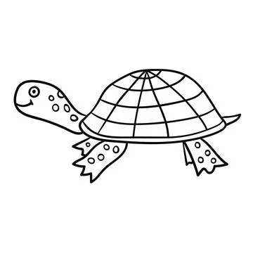 Cartoon doodle linear turtle isolated on white background. Stock Illustration