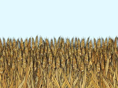 Cartoon doodle wheat seamless pattern 스톡 일러스트