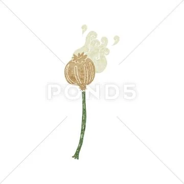 Cartoon dried poppy Stock Illustration