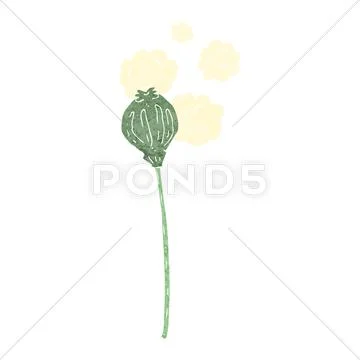 Cartoon dried poppy Stock Illustration