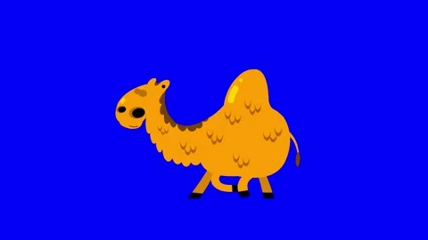 Cartoon dromedary camel flat design children animation walking bluebox Stock Footage 247101091