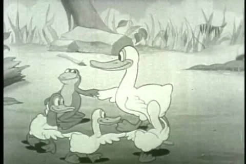 Cartoon of ducks and frog dancing Stock Footage 11345677