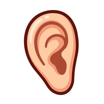 Cartoon ear drawing Stock Illustration