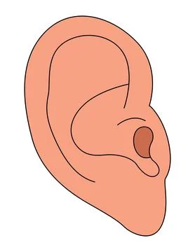 Cartoon ear isolated on a white background Stock Illustration
