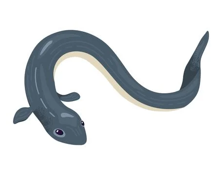 Cartoon eel, dark gray with white underbelly, friendly face. Marine life, cute Stock Illustration