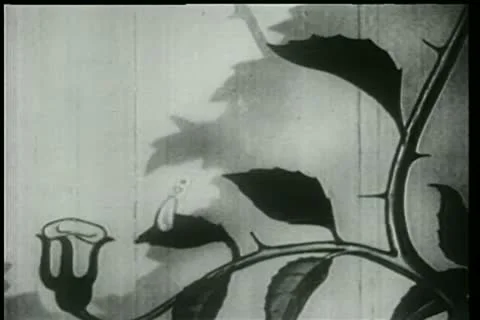 Cartoon of the evolution of a flower Stock Footage 11346564