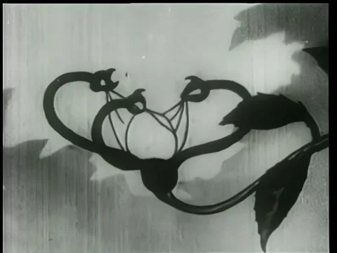 Cartoon of the evolution of a flower Stock Footage 260247863