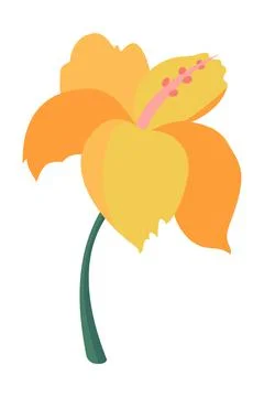 Cartoon exotic vector flower on white background Stock-Illustration