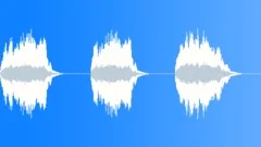 Cartoon failure - trumpet collection 01 Sound Effect
