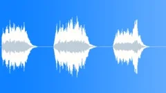 Cartoon failure - trumpet collection 02 Sound Effect