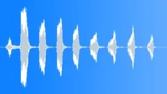 Cartoon female cackle laughSound Effect