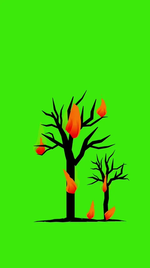 Cartoon fire burn dry tree isolated green vertical Video stock 345025061