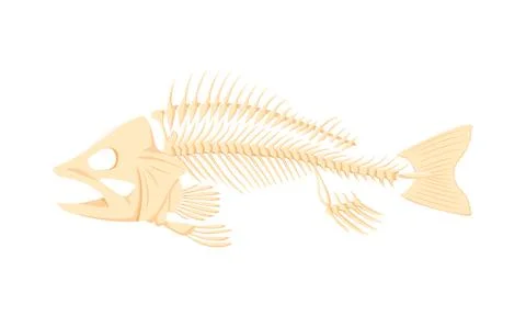 Cartoon fish bones, isolated vector skeleton Stock Illustration