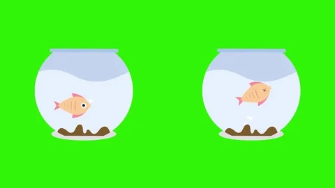 Cartoon Fish Bowls With Dead Fish And Li... | Stock Video | Pond5