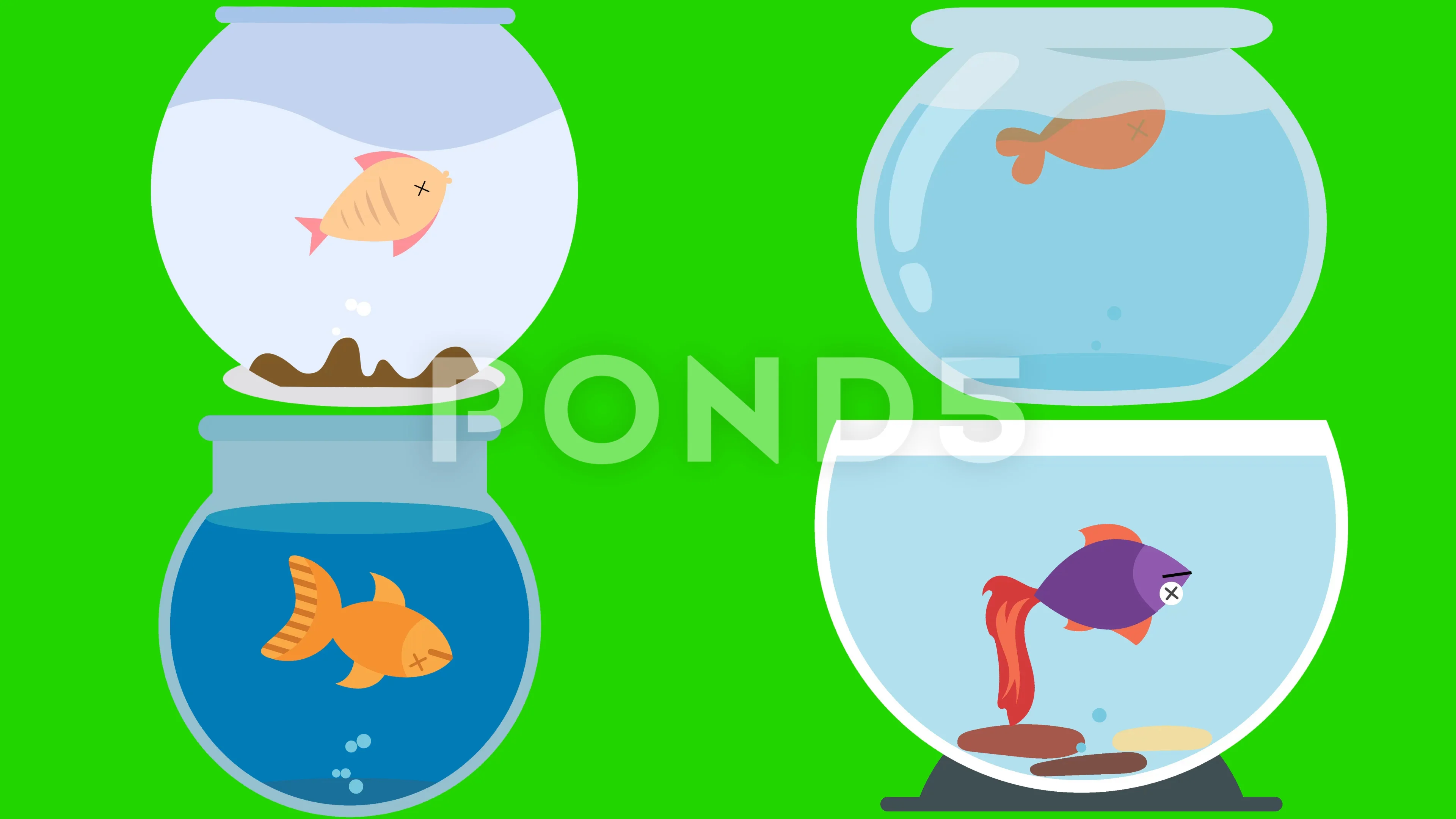 Cartoon Fish Bowls with Dead Fish on a G... | Stock Video | Pond5