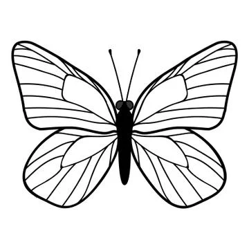 Cartoon flat butterfly Illustrazione stock