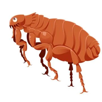 Cartoon Flea Stock Illustration