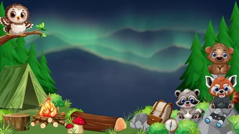 Cartoon Forest Animals Camping Under Aurora Borealis Loop Animation Stock Footage 346435370
