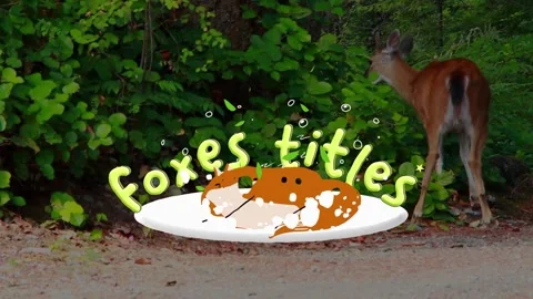 Cartoon Foxes Titles for After Effects 스톡 After Effects