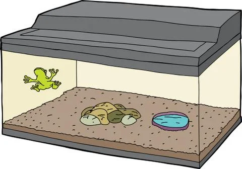 Cartoon of Frog in Aquarium Stock Illustration