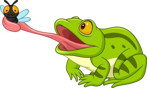 Cartoon frog catching fly Stock Illustration