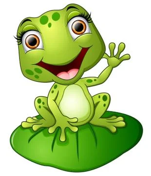 Cartoon frog sitting on the leaf Illustrazione stock