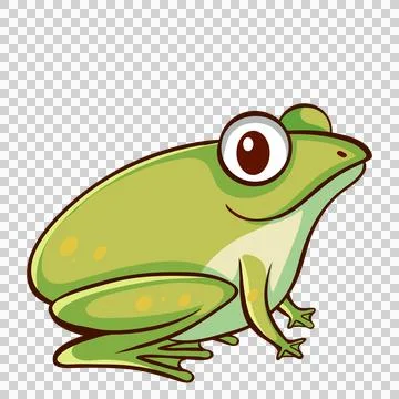 Cartoon Frog Sitting Profile View Illustration